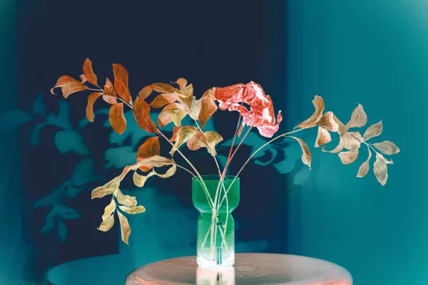 2020 Visual Diary: 2020-06-07 (Still Life)