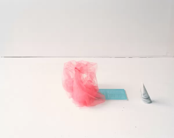 Tulle, a journal, marble