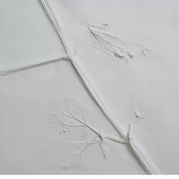 Anahita Norouzi, Remains