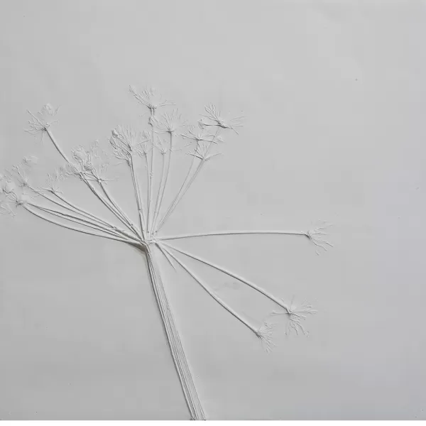 Anahita Norouzi, Remains