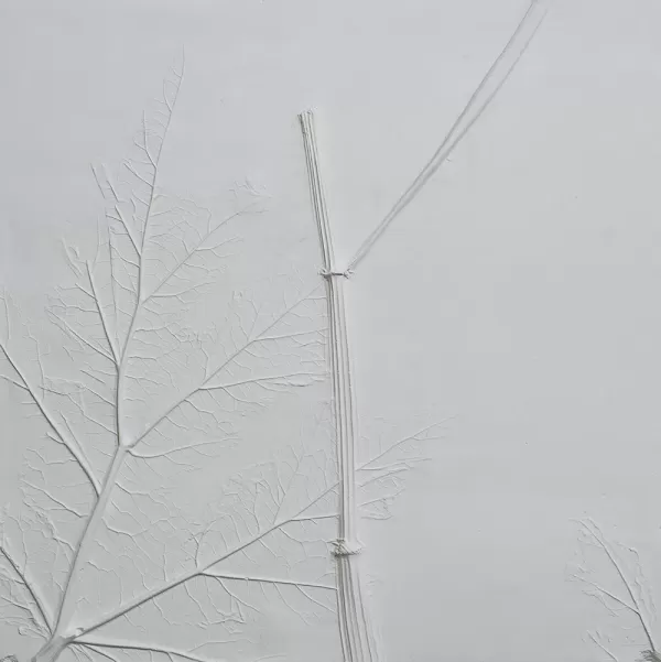 Anahita Norouzi, Remains