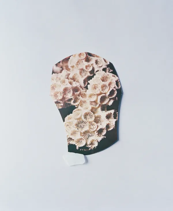 Celia Perrin Sidarous, Coral and sea glass 