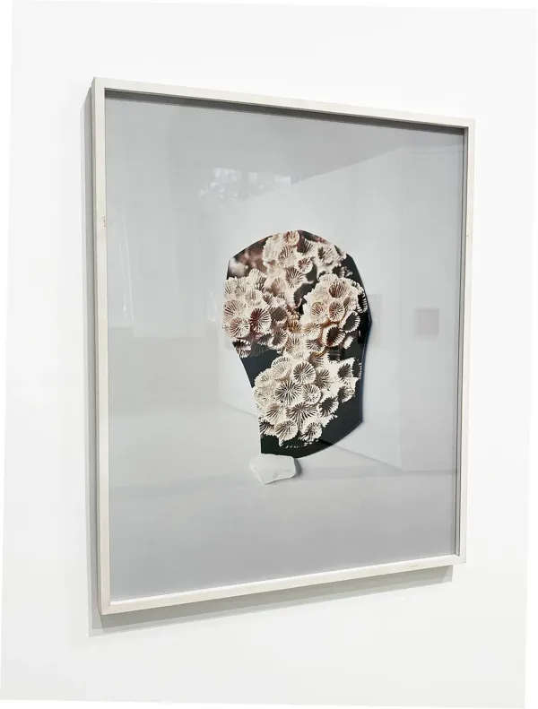 Celia Perrin Sidarous, Coral and sea glass 