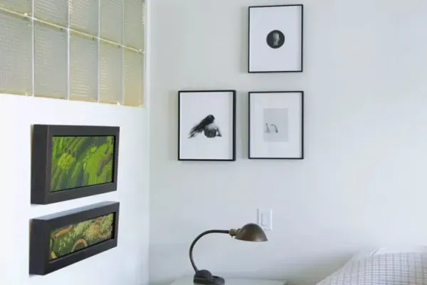 Œuvres de Judith Berry et Sophie Jodoin